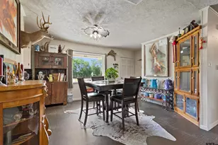 244 Co Rd 1903, Yantis, TX 75497 - Photo 6