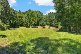 9933 W Fm 227, Grapeland, TX 75844 - Photo 6