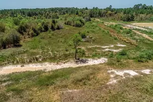 4661 Cr 335, Palestine, TX 75803 - Photo 1