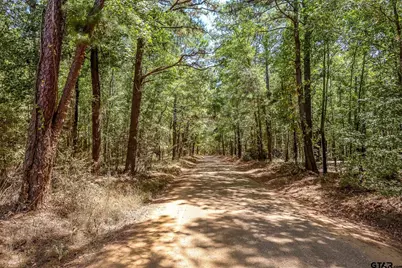 4661 Cr 335, Palestine, TX 75803 - Photo 28