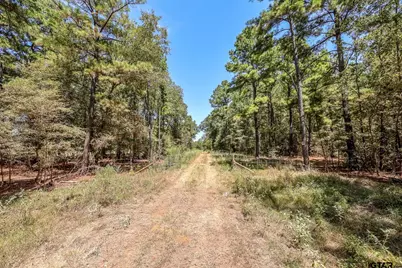 4661 Cr 335, Palestine, TX 75803 - Photo 30