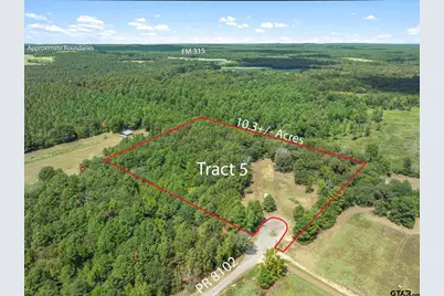 24619 Private Road 8102, Frankston, TX 75763 - Photo 16