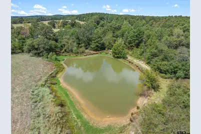 24619 Private Road 8102, Frankston, TX 75763 - Photo 8
