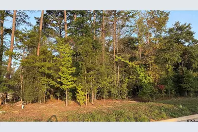 7933 Maple Ln, Tyler, TX 75703 - Photo 1