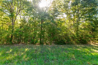 Tbd Fm 2064 N, Troup, TX 75789 - Photo 4