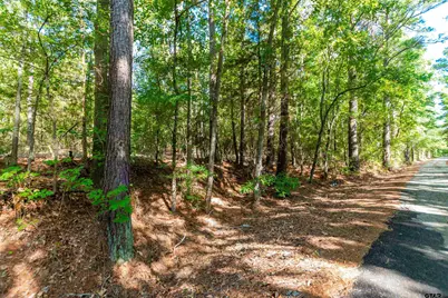 Tbd Fm 2064 N, Troup, TX 75789 - Photo 10