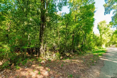 Tbd Fm 2064 N, Troup, TX 75789 - Photo 8