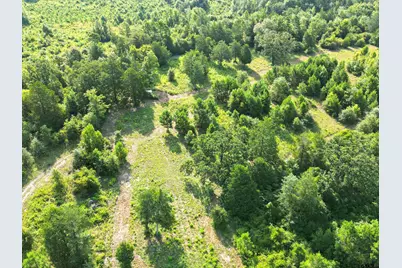 102 Pr 3174, Gilmer, TX 75644 - Photo 30