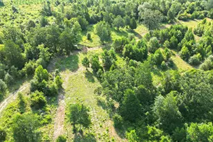 102 Pr 3174, Gilmer, TX 75644 - Photo 30