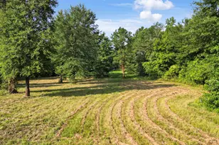 102 Pr 3174, Gilmer, TX 75644 - Photo 32
