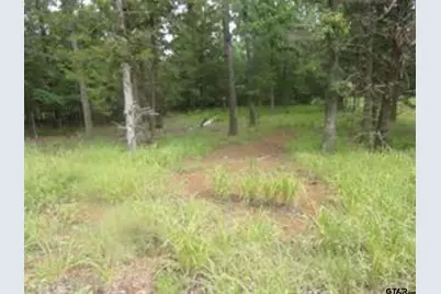 944 Whipporwill, Murchison, TX 75778 - Photo 2