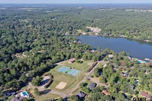 1632 Pineview Ln, Hideaway, TX 75771 - Photo 46