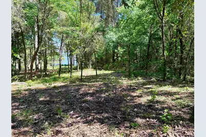 10162 Cr 3202, Chandler, TX 75758 - Photo 4