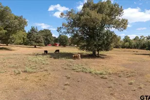 277 Co Rd 2958, Alba, TX 75410 - Photo 46