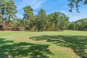 241 Woodside Ln, Holly Lake Ranch, TX 75765 - Photo 14