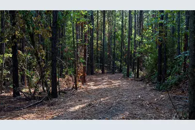Tbd Fm 2015, Tyler, TX 75708 - Photo 34