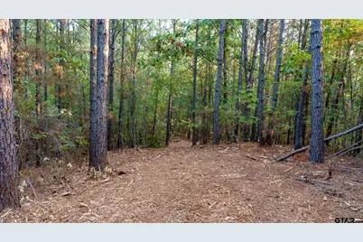 Tbd Fm 2015, Tyler, TX 75708 - Photo 20