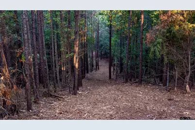 Tbd Fm 2015, Tyler, TX 75708 - Photo 18