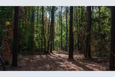 Tbd Fm 2015, Tyler, TX 75708 - Photo 36