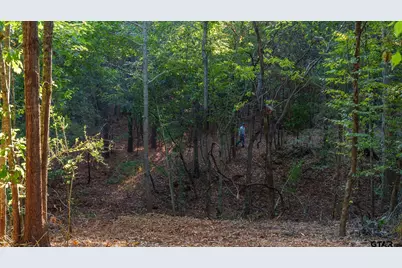 Tbd Fm 2015, Tyler, TX 75708 - Photo 28