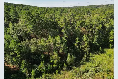 Tbd Cr 1613, Jacksonville, TX 75766 - Photo 2