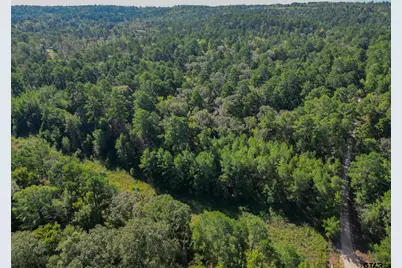 Tbd Cr 1613, Jacksonville, TX 75766 - Photo 1
