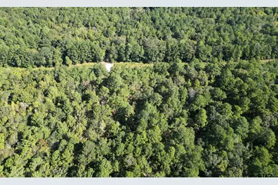 Tbd Cr 1613, Jacksonville, TX 75766 - Photo 4