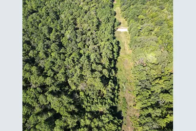 Tbd Cr 1613, Jacksonville, TX 75766 - Photo 6