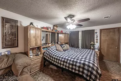 377 Fm 1521, Pittsburg, TX 75686 - Photo 24