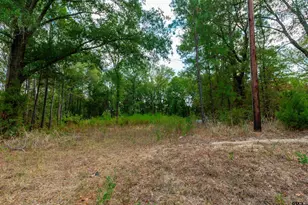 744 FM555, Gilmer, TX 75645 - Photo 1