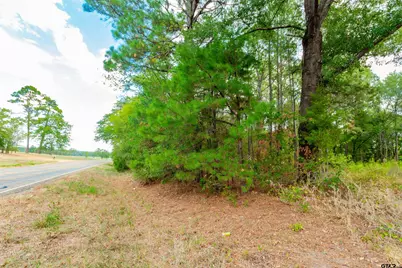 744 Fm 555, Gilmer, TX 75645 - Photo 4