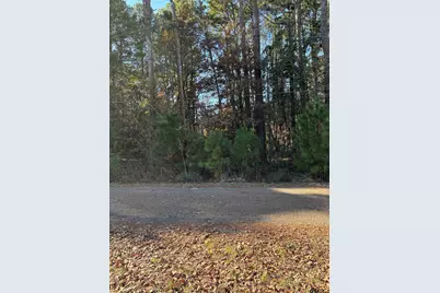 Lot 25 Briar Grove Rd, Murchison, TX 75778 - Photo 2