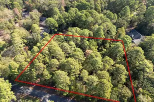 195 Brazos Bend, Holly Lake Ranch, TX 75765 - Photo 42