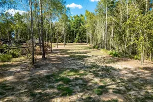 7752 Fm 2888, Naples, TX 75568 - Photo 34