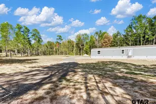 7752 Fm 2888, Naples, TX 75568 - Photo 46