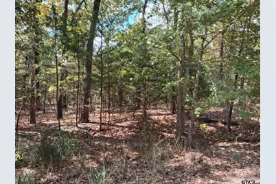 Tbd Hideaway, Murchison, TX 75778 - Photo 2