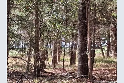 Tbd Hideaway, Murchison, TX 75778 - Photo 1