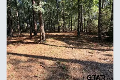 1410 W Duval, Troup, TX 75789 - Photo 24