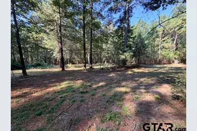 1410 W Duval, Troup, TX 75789 - Photo 20