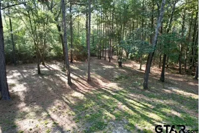 1410 W Duval, Troup, TX 75789 - Photo 32