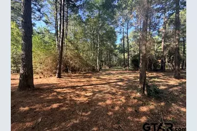 1410 W Duval, Troup, TX 75789 - Photo 16