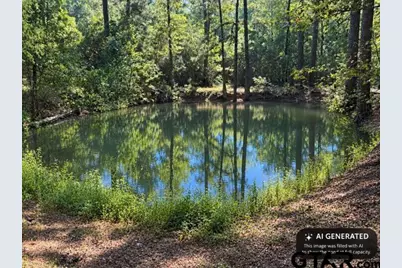 1410 W Duval, Troup, TX 75789 - Photo 22