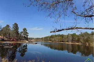 202 Pine Tree 3A, Holly Lake Ranch, TX 75765 - Photo 40
