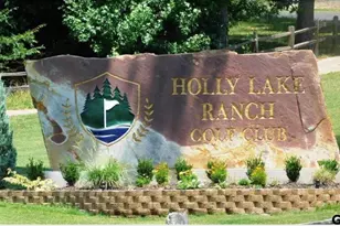 202 Pine Tree 3A, Holly Lake Ranch, TX 75765 - Photo 38