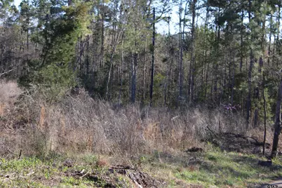 Tbd Cr 1627- 21 Acres, Rusk, TX 75785 - Photo 4