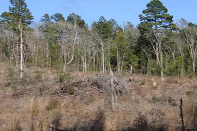 Tbd Cr 1627- 21 Acres, Rusk, TX 75785 - Photo 6
