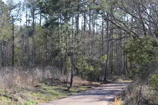 Tbd Cr 1627- 21 Acres, Rusk, TX 75785 - Photo 1