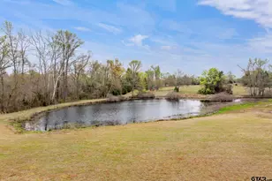 3623 Co Rd 3800, Athens, TX 75752 - Photo 48