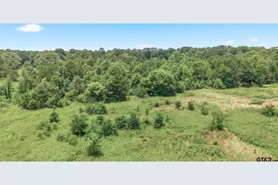 18866 Cr 2154, Troup, TX 75789 - Photo 6