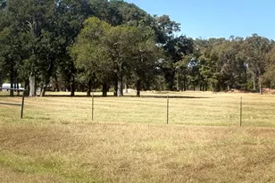 5047 N Fm 17, Alba, TX 75410 - Photo 30